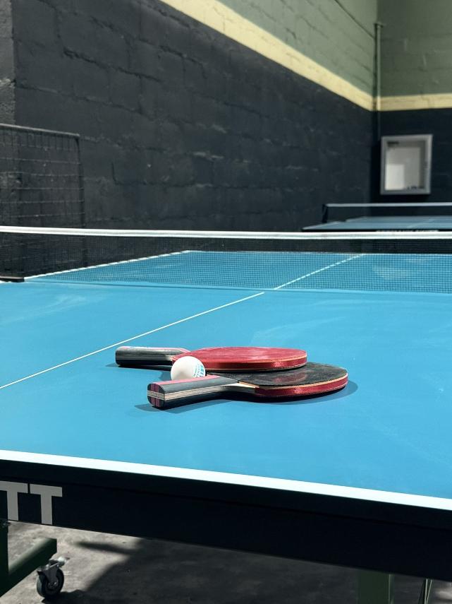 pingpong
